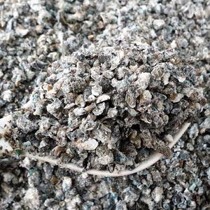 국내산 분쇄 다슬기 1kg