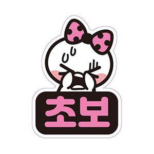 [셀러허브 패션][JHQRNI2U_4B]고휘도 고휘도반사 1 자석 자동차스티커