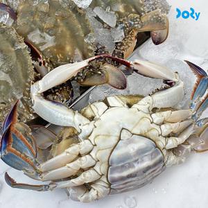 [품질보장] 국내산 급냉 암꽃게 1kg (4-6미) 꽃게탕 꽃게찜 꽃게요리 냉동꽃게 알배기