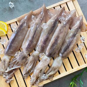 완전손질 통오징어 320g (2미)