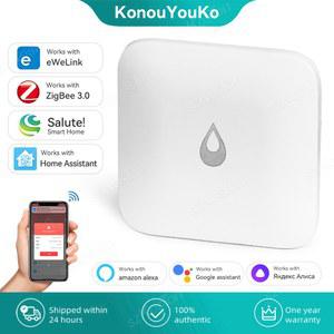 EWELINK APP ZIGB 감지기 경보 센서 모니터링 CE 어시스턴트 침수 홍수 스마트 누수 원격
