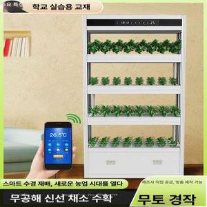 가정용 수경재배기 식물 재배 상추 키우기