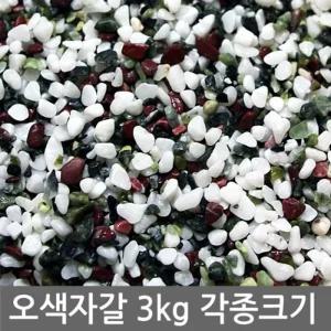 오색자갈 3kg전후 어항 수족관 장식 오색돌 색자갈 바닥재 화분 옥돌 용품 인테리어 미술재료