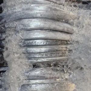 국산 생물 먹갈치 1.5kg 내외(5미)