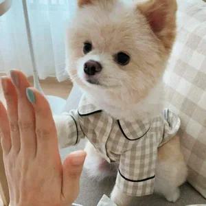 반려견 체크 파자마 실내복 잠옷 애견 강아지옷