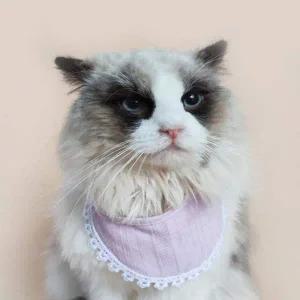 애견 애묘 강아지 귀여운 3컬러 턱받이 넥케이프