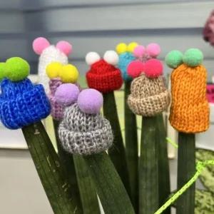 화분 장식 방울방울 스투키모자 5P (WFJY1TR)