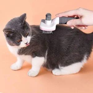반려동물 미용 브러쉬 털 제거 도구 강아지 고양이 용품 정리 빗