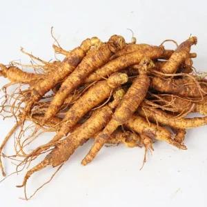 [산지직송] 금산 황금농장 삼계탕/갈비탕용 인삼(잔뿌리) 750g