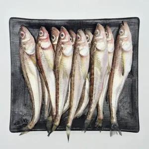 국내산 햇 도루묵 급냉 500g