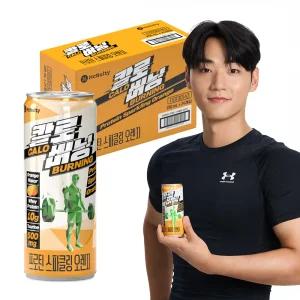칼로버닝 프로틴 스파클링 오렌지 (250mL x 24캔) 당제로 단백질 탄산음료