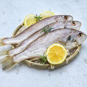 [엠픽] 국내산 통영에서 말린 귀한 반건조 손질 백조기 3미(400~500g)*1팩