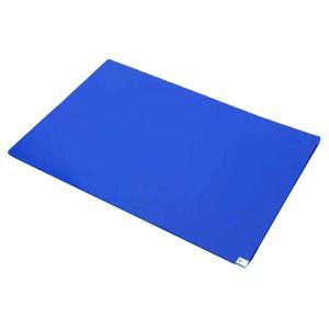 실출입문패드 끈적매트 클린룸 일회용 발판 10개 300페 끈끈이 45x60cm