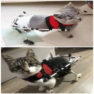 고양이 보조기재활 강아지 반려 보행기