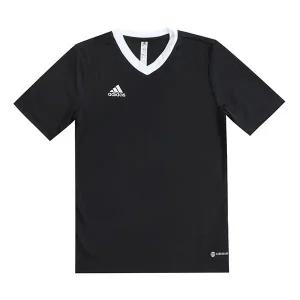[정품] 아디다스 주니어 엔트라다22 저지 반팔티 (H57497) 412486