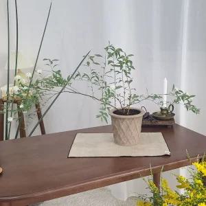 테라원 빈티지 아쿠아 토분 HN30411 14x15cm 체크정용품 분갈이화분 홈가드닝 식물키우기 인테리어 가벼운
