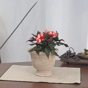 테라원 빈티지 아쿠아 토분 HN30413 14x15cm 콤포트정용품 분갈이화분 홈가드닝 식물키우기 인테리어 가벼