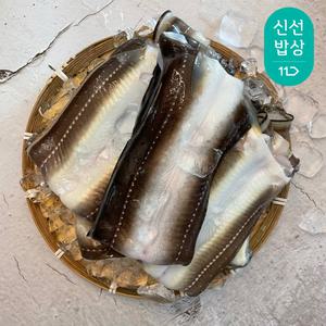 [품질보장]이순신수산 통영 자연산 바다장어1kg 손질후 800g 국내산 붕장어 아나고