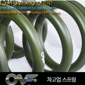 lsm튜닝 온프(ONF) 뒤차고 30~40mm 차고 업스프링 그랜드 카니발/로디우스/렉스턴(멀티링크)/코란도 투리스모용