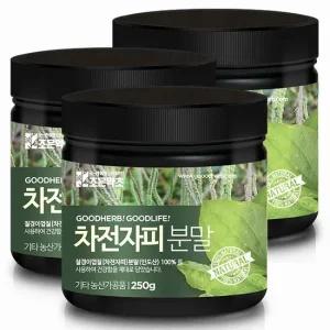 차전자피가루 250g x 3