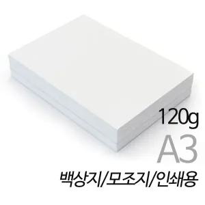SW 백상지 인쇄용지 A3용지 120g 250매