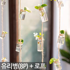 미니 행잉 보틀 화분(8P) - 플랜트 유리 수경 인테리어 식물 화병 걸이 유리병 미니화분 홈카페 홈가드닝