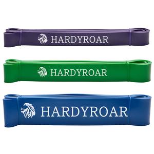 하디로어 턱걸이 풀업 보조 밴드 철봉 근력 운동 고무 탄력 가정용 헬스 라텍스