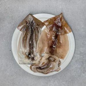 은하수산 간편 손질 오징어 1.1kg (4-8미)_ (냉동)