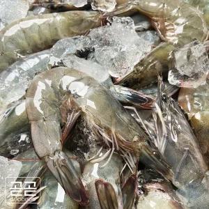 국내산 흰다리 새우 신안 제철 생물 대하 왕 생새우 2kg 활새우