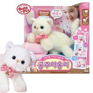 공주 야옹이 아기고양이