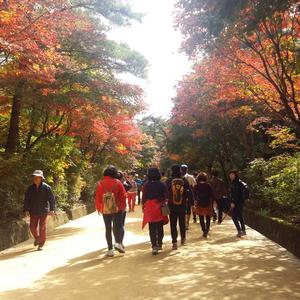 [경북,충북] 과거로 떠나는 추억여행 - 문경새재 옛길 단풍과 충주 탄금대 당일