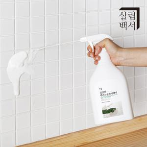 살림백서 딥클린 곰팡이 제거제 800ml x 2개 대용량 벽 화장실 욕실 실리콘 창틀 청소세제