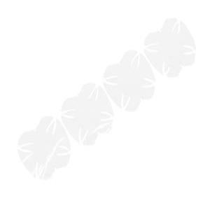기아 카니발 4세대 KA4 도어캐치 도어컵 PPF 보호 필름 데칼 스티커