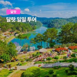 [달랏] 베나자 나트랑 출발 달랏투어 일일투어 한국인 가이드