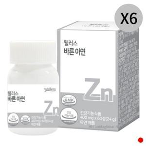 웰러스 바른 아연 면역 성장기 어린이 추천 60정 X6