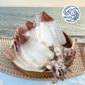 실속 마른 한치500g (대) 8~12마리 무료배송 건어물 화살오징어