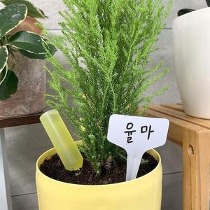 [BZJL7F2L_4C]식물 이름표 20P 10x6cm T형 화이트