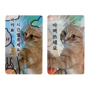 실사고양이 체인징카드