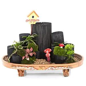 숯부작[OW-9004] [도자기화분/고급화분/고급분재/투각분/동양난/동양란/숯분