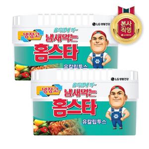 냄새먹는 홈스타 냉장고용 유칼립투스 420g 2개