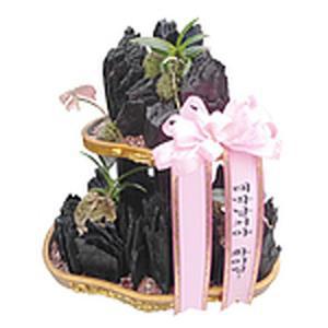 [MENPYZY6_52FE]숯부작 개업 선물