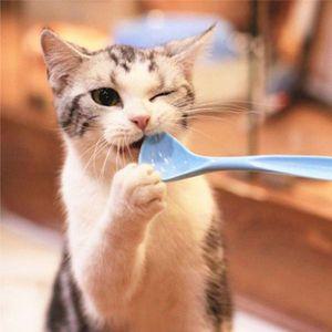 [NS홈쇼핑]고양이 간식캔 전용스푼 캔스푼 블루[34805468]