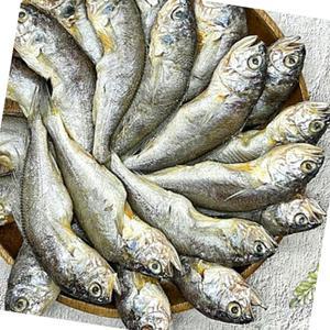 국내산 반건조 냉동 참조기 40미 굴비 생선 구이 조림 식자재