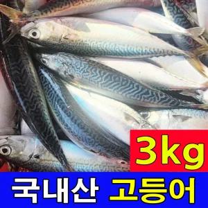 주문진 오늘 새벽에 조업한 국내산 생물 고등어 3kg 5~6마리 당일조업