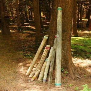 선인장 레인스틱 힐링 악기 명상 자연 소리 150cm 100cm 대형 전문가 교육 교구