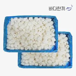 바다한끼 A급 솔방울 오징어 10kg 대용량