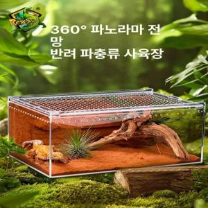 SHservice 스마일크랩키우기 게 소라게 세트 키우기