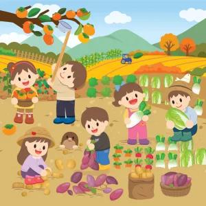 [완제품] 가을환경판 어린이집 유치원 꾸미기 게시판 환경구성 풍성한 가을 수확