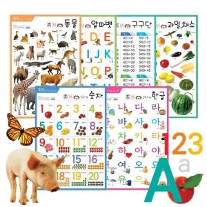 유아학습 아기벽보 한글포스터 동물 알파벳 구구단 과일채소 숫자 방수포스터