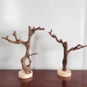 포도나무 유목 가지 기둥 파충류 카멜레온 부착용